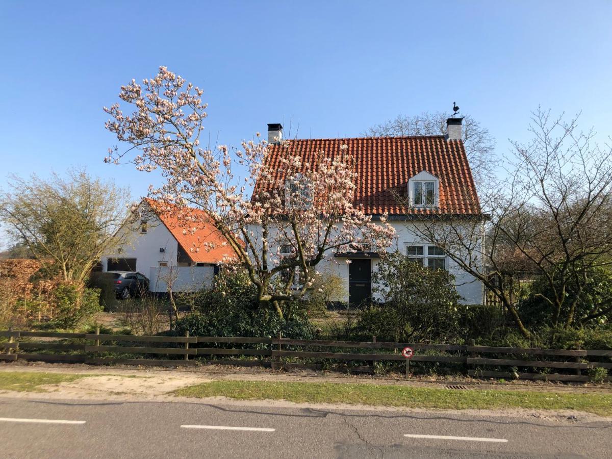 Horse And Hound Bed & Breakfast Riethoven Dış mekan fotoğraf