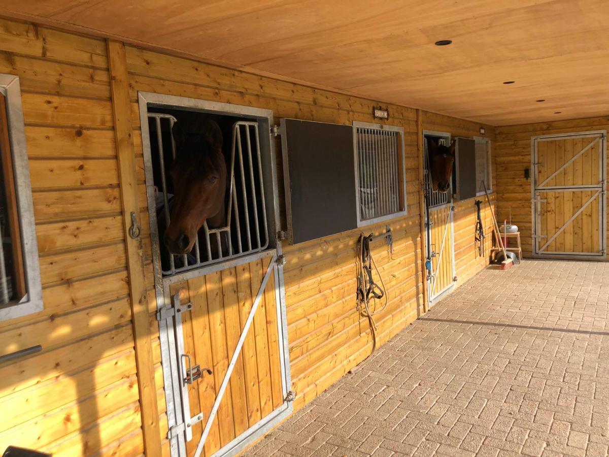 Horse And Hound Bed & Breakfast Riethoven Dış mekan fotoğraf