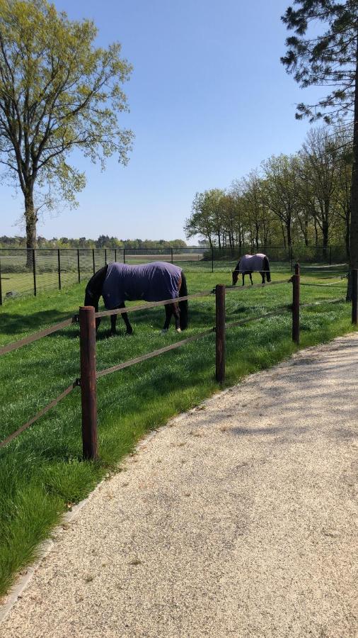 Horse And Hound Bed & Breakfast Riethoven Dış mekan fotoğraf