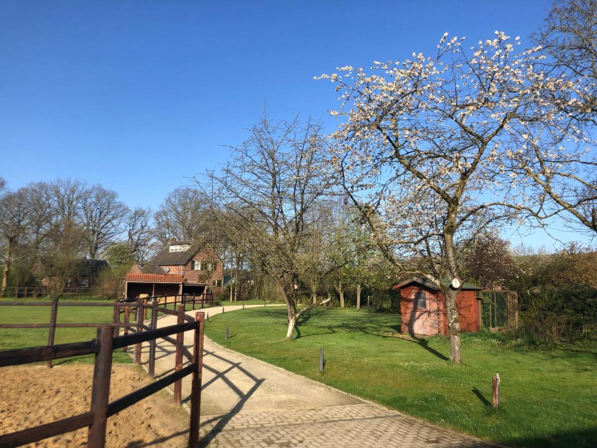 Horse And Hound Bed & Breakfast Riethoven Dış mekan fotoğraf