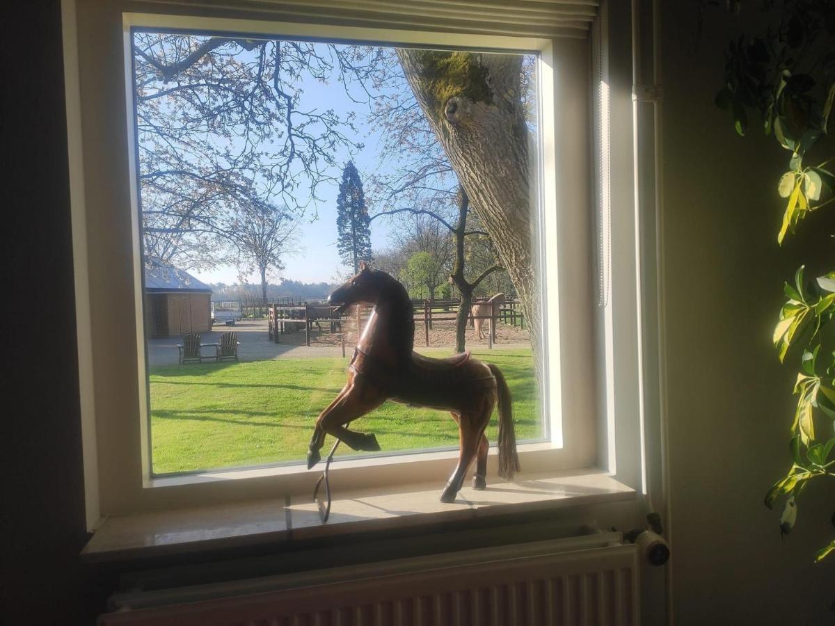 Horse And Hound Bed & Breakfast Riethoven Dış mekan fotoğraf