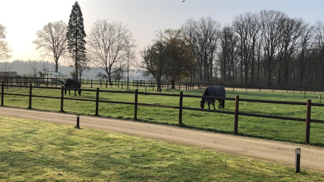 Horse And Hound Bed & Breakfast Riethoven Dış mekan fotoğraf