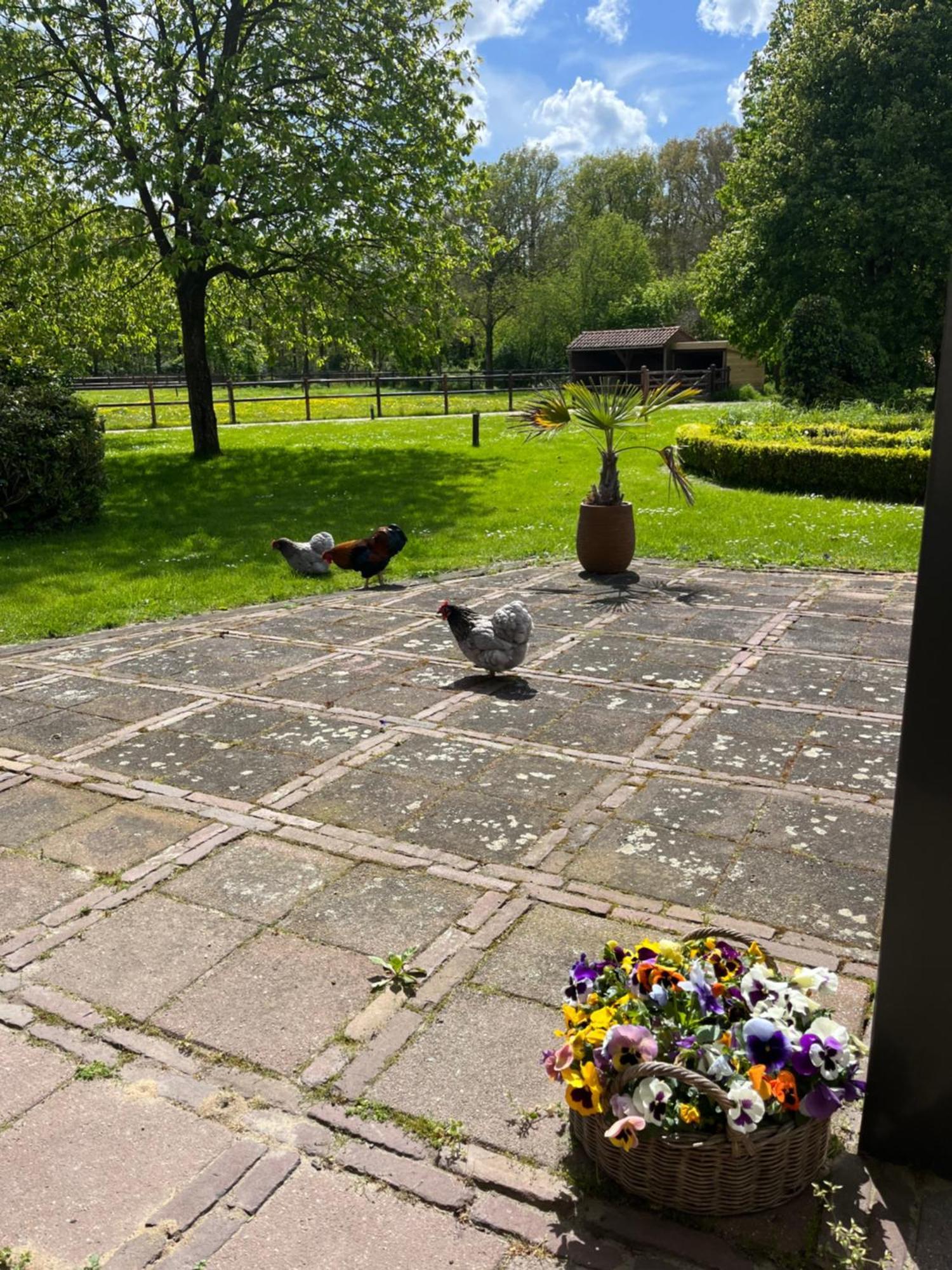 Horse And Hound Bed & Breakfast Riethoven Dış mekan fotoğraf